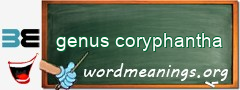 WordMeaning blackboard for genus coryphantha